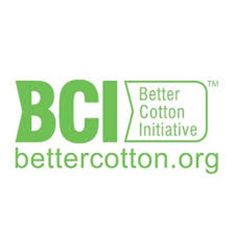 BCI Certificate